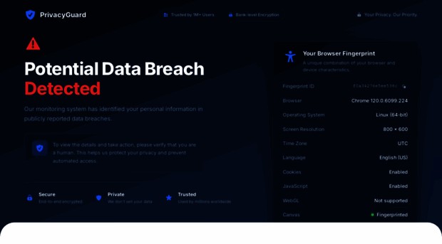 onlineprivacyprotect.com