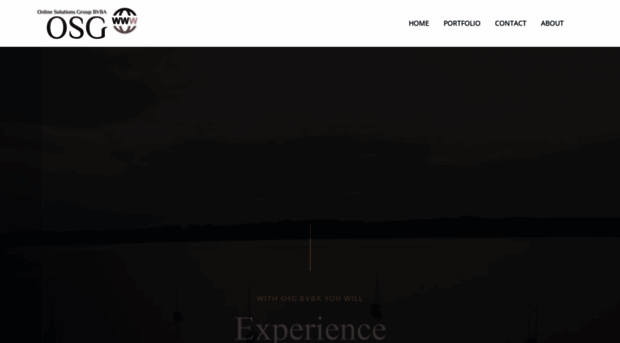 onlinesolutionsgroup.website