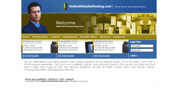 onlinewebsitehosting.com