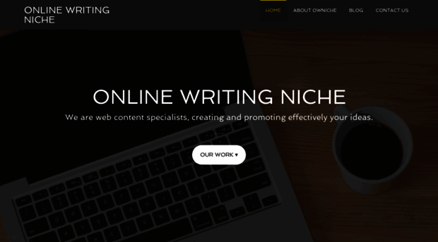 onlinewritingniche.com