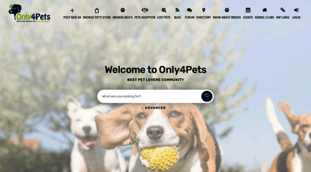 only4pets.com