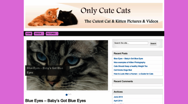 onlycutecats.com