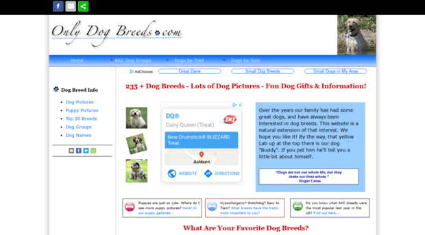 onlydogbreeds.com