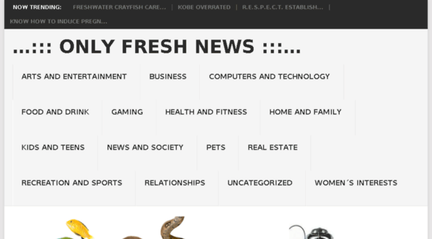 onlyfreshnews.com