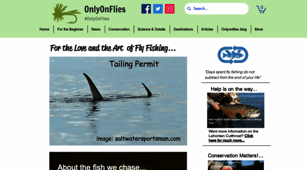 onlyonflies.com