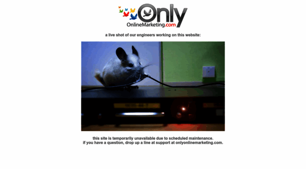 onlyonlinedevelopment.com