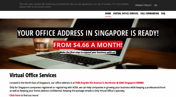 onlyvirtualoffice.com
