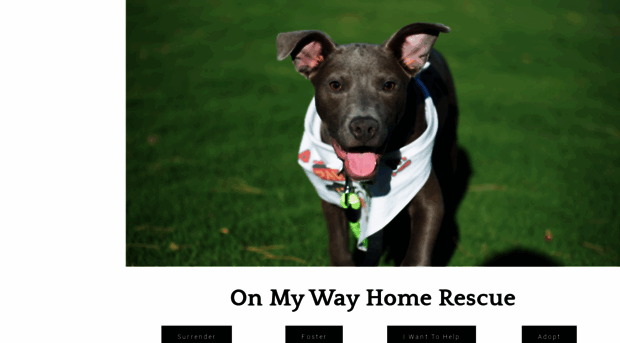 onmywayhomerescue.com