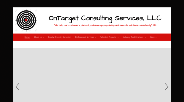 ontargetconsulting.biz