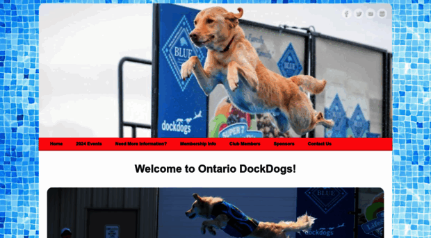 ontariodockdogs.com