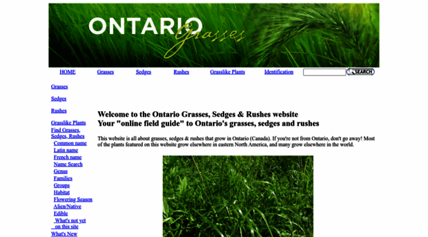 ontariograsses.com