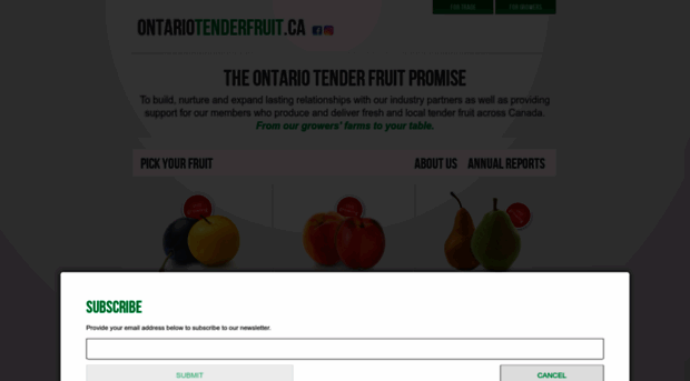 ontariotenderfruit.ca