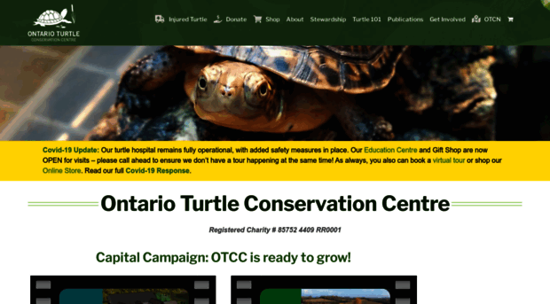 ontarioturtle.ca