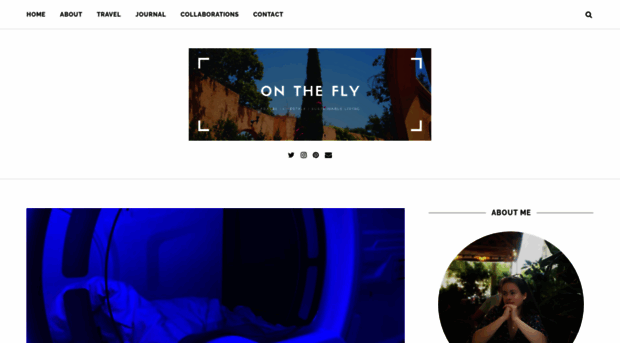 ontheflyblog.com