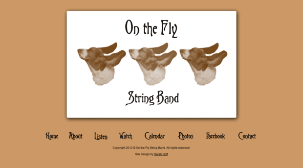 ontheflystringband.com