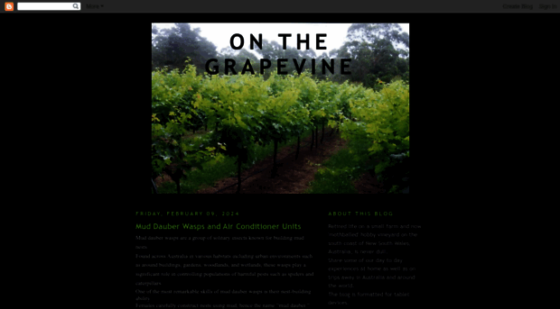 onthegrapevine.blogspot.com