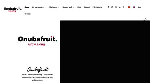 onubafruit.com