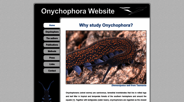 onychophora.com