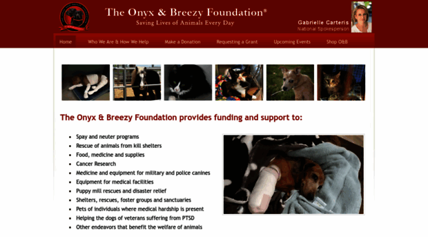 onyxandbreezy.org