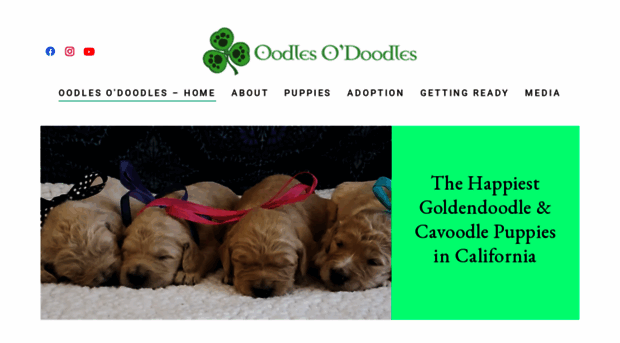 oodlesodoodles.com