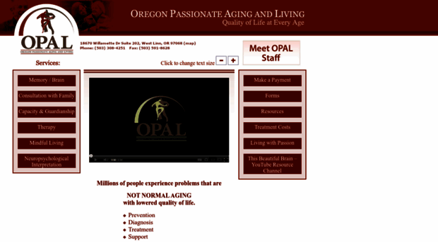 opalinstitute.com