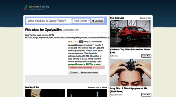 opalyazilim.com.clearwebstats.com