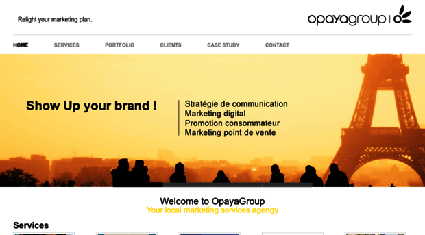 opayagroup.com