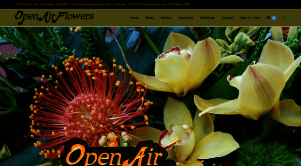 openairflowersslo.com