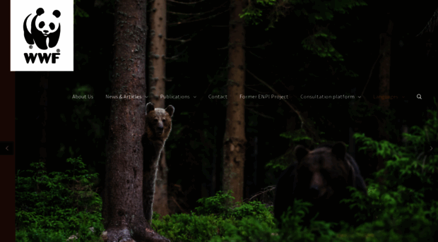 openbordersforbears.com