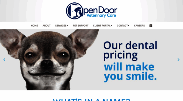 opendoorveterinarycare.com
