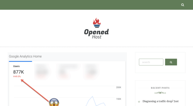 openedhost.com