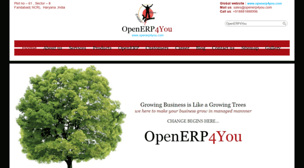 openerp4you.in