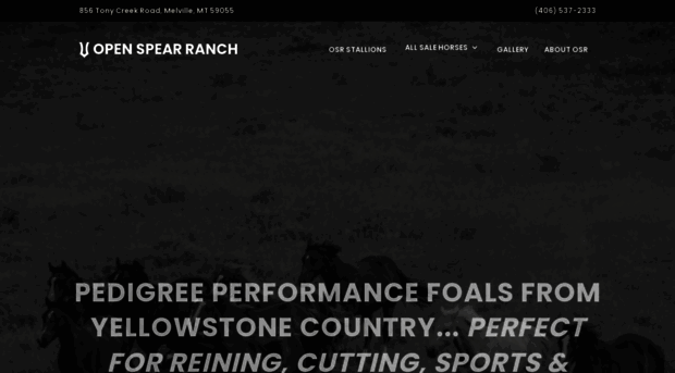 openspearranchstallionstation.com