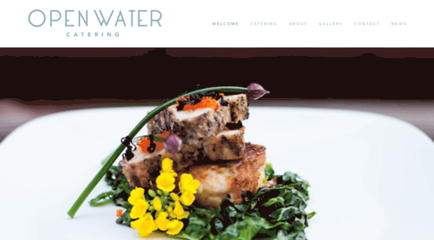 openwatercatering.com