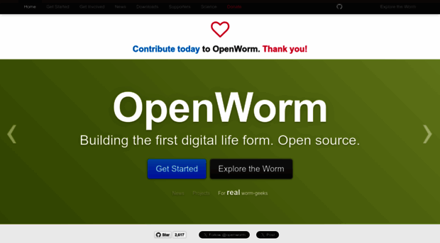 openworm.org