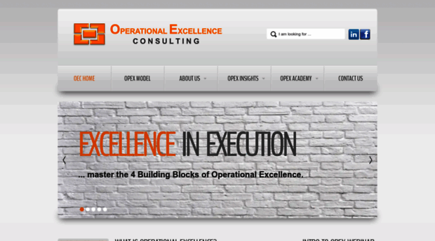 operational-excellence-consulting.com