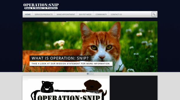 operationsnipfl.org