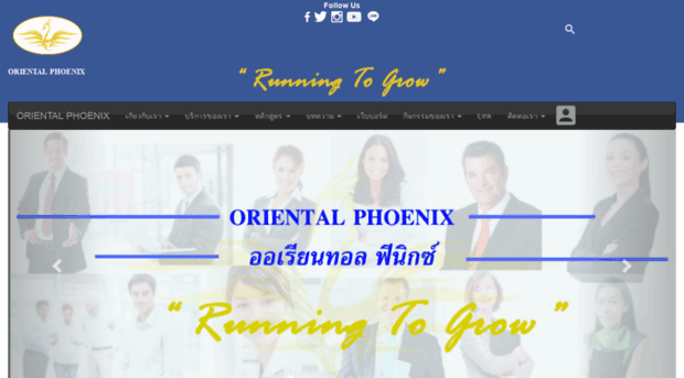 ophconsultant.com