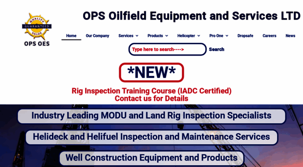 opsoes.com
