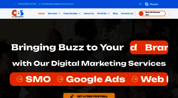 optibridgesolutions.com