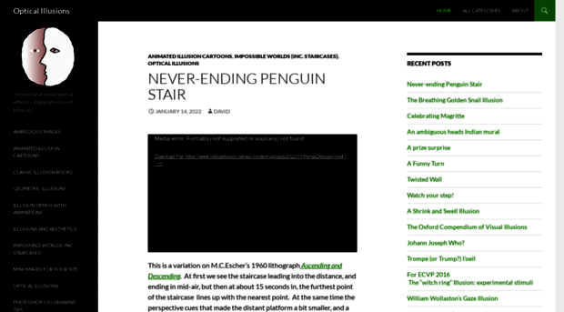opticalillusion.net
