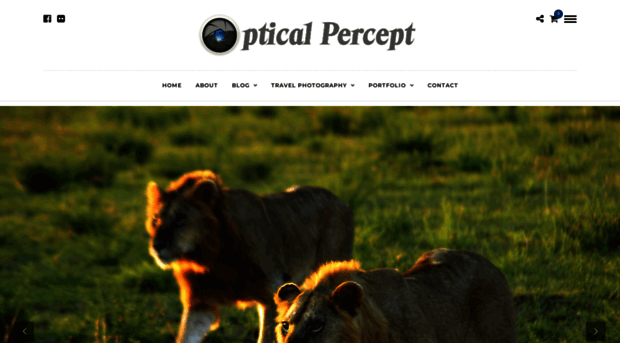 opticalpercept.com