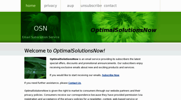 optimalsolutionsnow.com