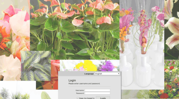 optimus.flowerselect.nl