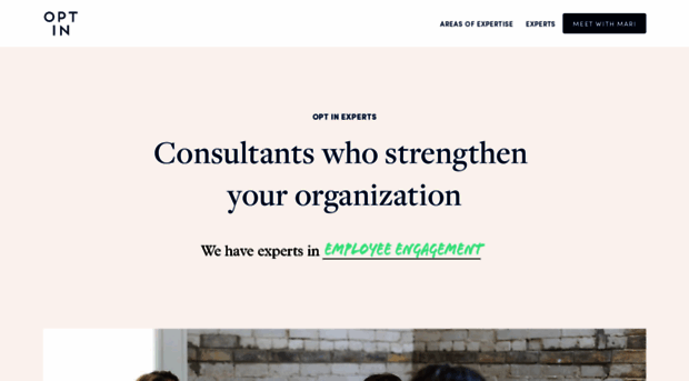 optinexperts.com