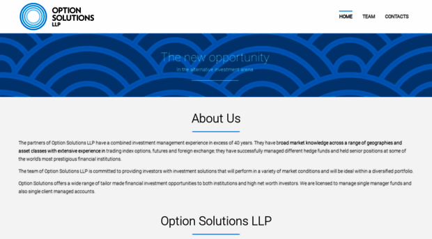 option-solutions.com