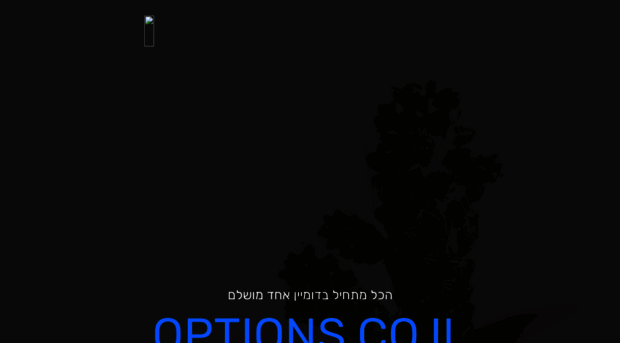 options.co.il