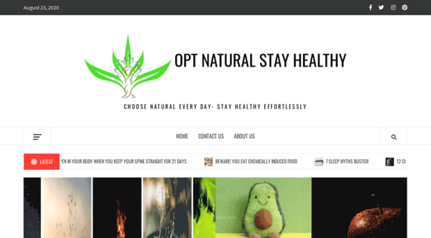 optnaturalstayhealthy.com