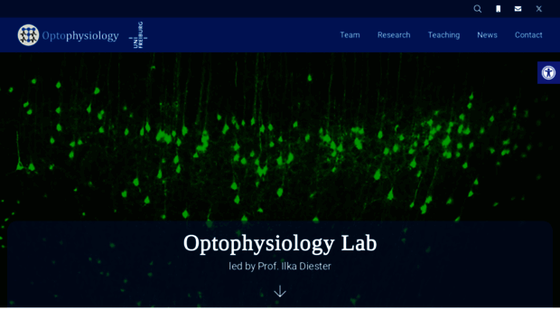 optophysiology.uni-freiburg.de