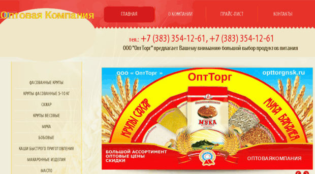 opttorgnsk.ru